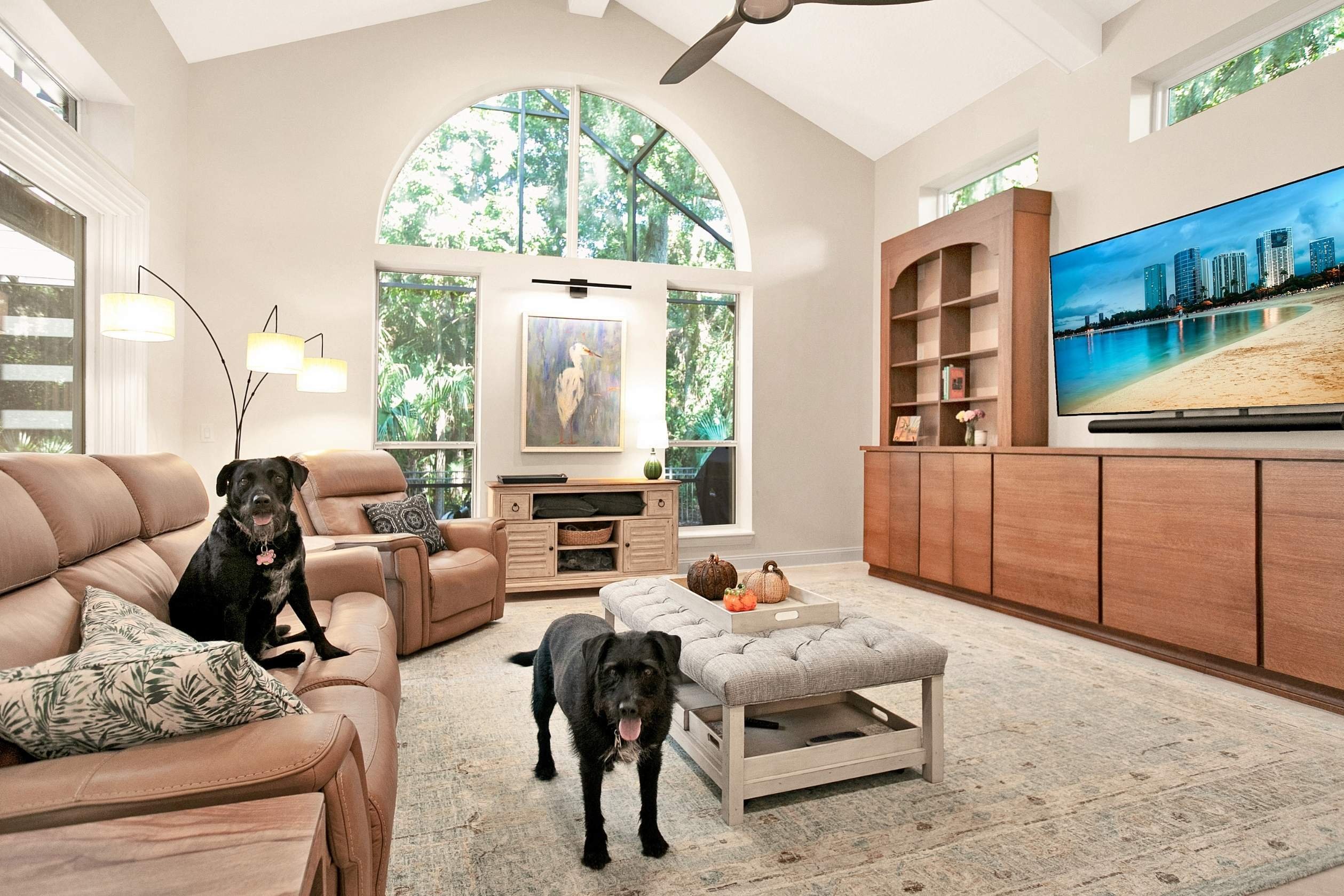 living room remodel in queens harbor, fl with two black dogs and large arched window